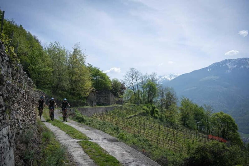 E-Bike Wine Tour with Indomita - An Authentic Look at the E-Bike Wine Tour in Valtellina