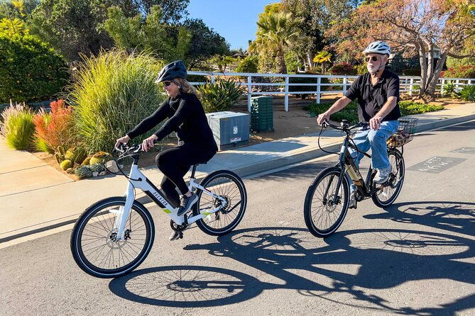 e-bikes-rentals-in-santa-rosa-beach