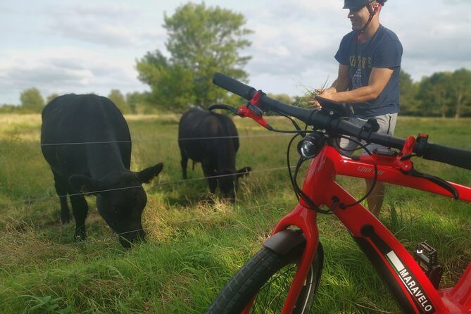 E-biking Central Forgotten Giants' s Adventure - The Final Verdict
