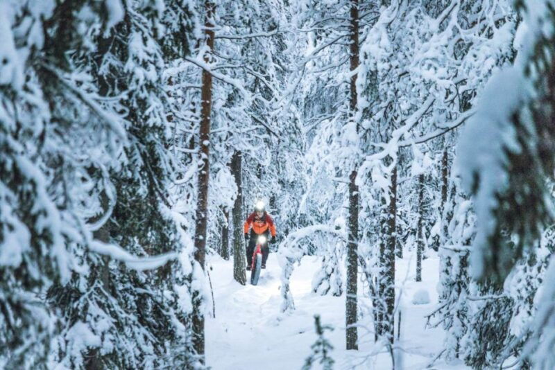 e-fatbike-experience-in-small-groups