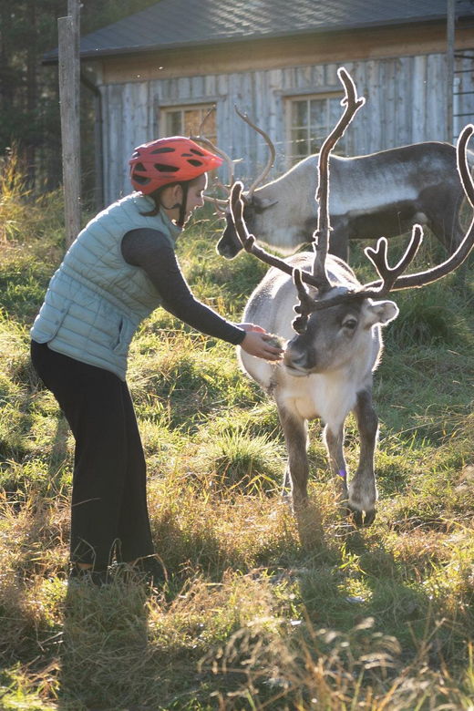 e-fatbike-trip-to-the-reindeer-farm