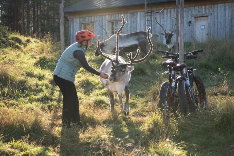 e-fatbike-trip-to-the-reindeer-farm