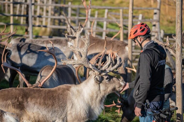 e-fatbike-trip-to-the-reindeer-farm