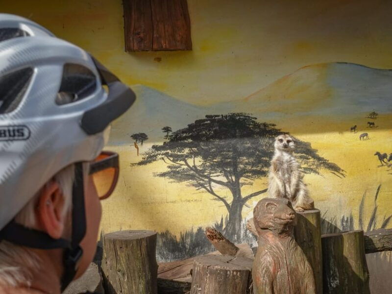 e-mountain-bike-adventure-in-the-danube-bend