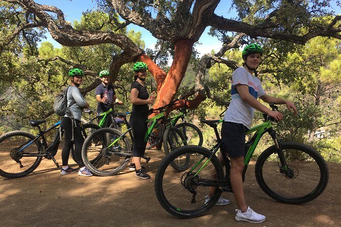 E-Mountain Bike Explorer Tour departing from Marbella - Why This Tour Works Well