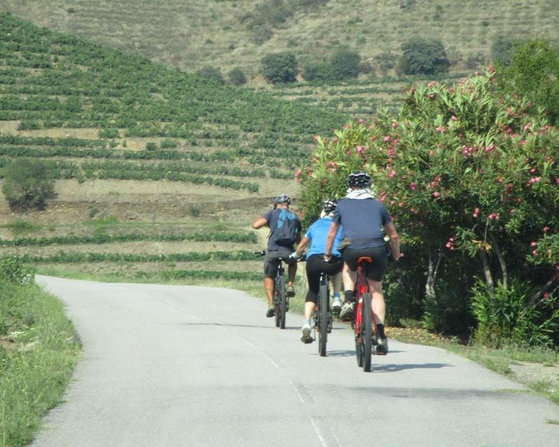 e-mtb-vineyards-douro-tour