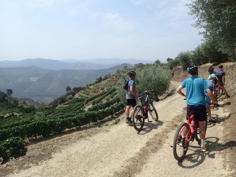 e-mtb-vineyards-douro-tour