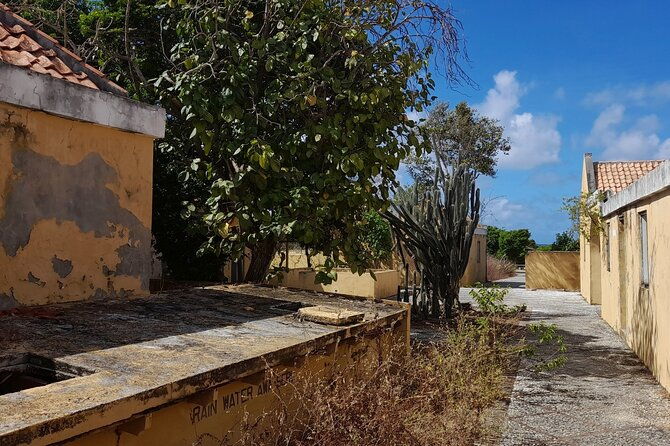 e-scavenger-hunt-by-car-or-scooter-explore-the-rincon-valley