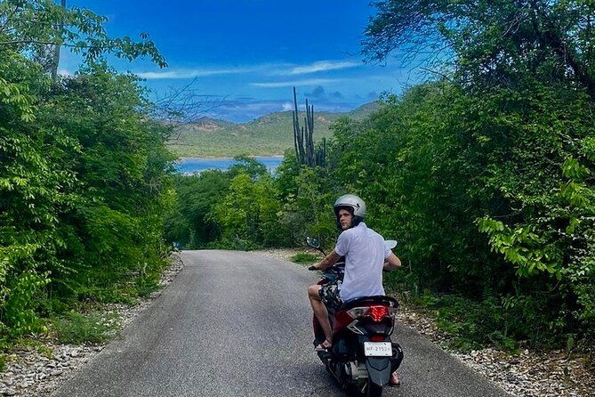 e-scavenger-hunt-by-car-or-scooter-explore-the-rincon-valley