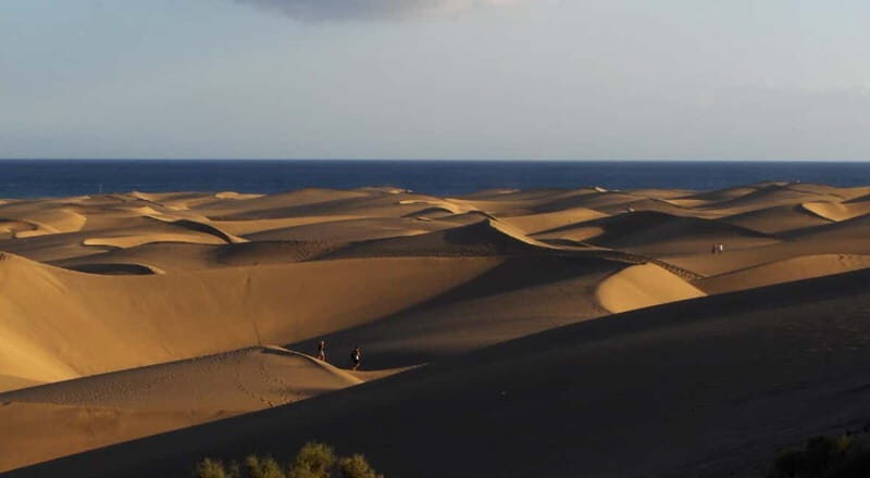 e-Scooter City Tour + Camel Ride inside Maspalomas Dunes - Practical Details and Logistics