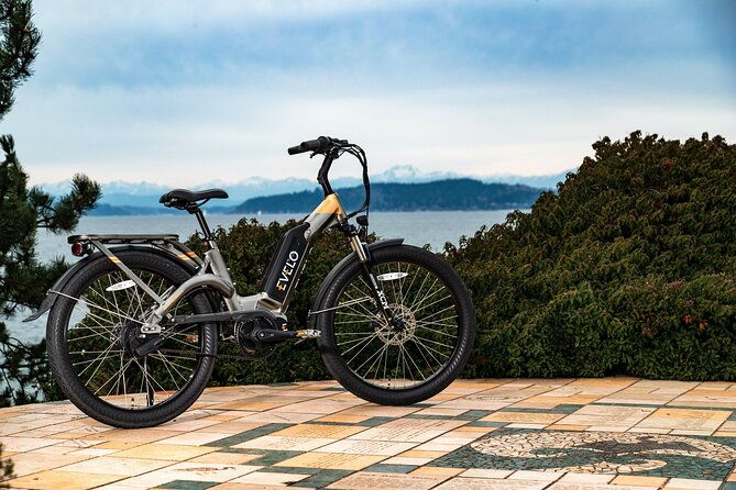 e-scooter-e-bike-quadracycle-bikes-kick-scooter