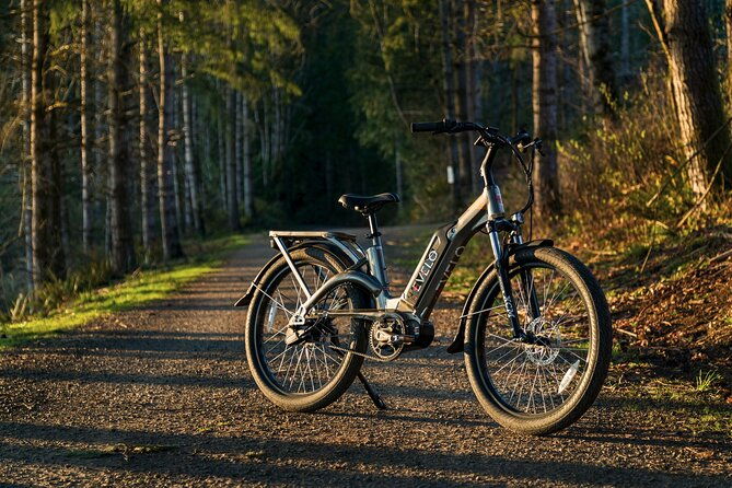 e-scooter-e-bike-quadracycle-bikes-kick-scooter