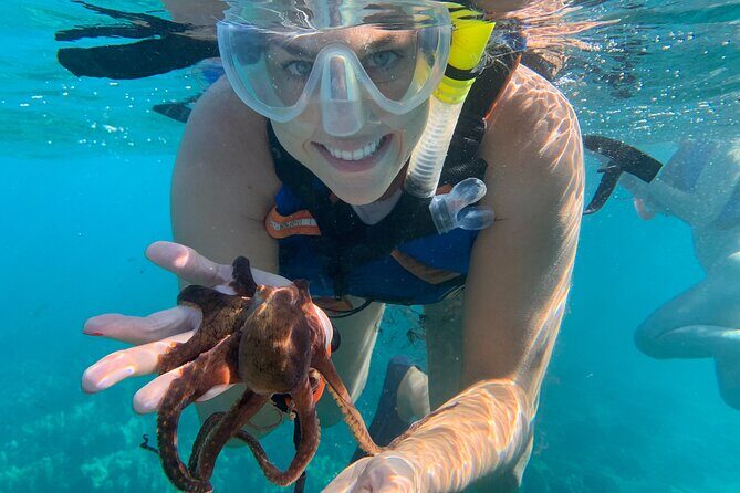 E-Scooter Snorkel With Photo and Video At Turtle Town - Why This Tour Stands Out