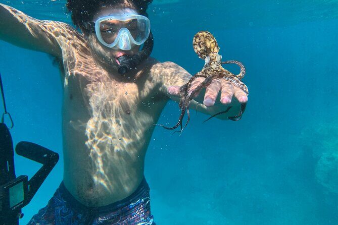 E-Scooter Snorkel With Photo and Video At Turtle Town - Cost and Value: Is It Worth It?
