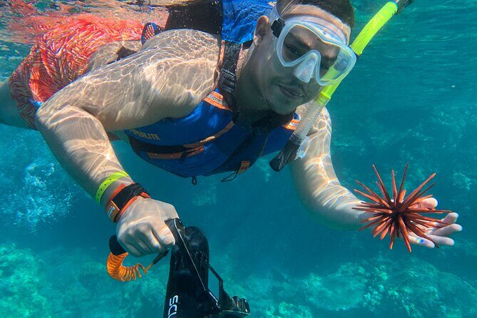 E-Scooter Snorkel With Photo and Video At Turtle Town - The Sum Up: Who Should Book This Tour?