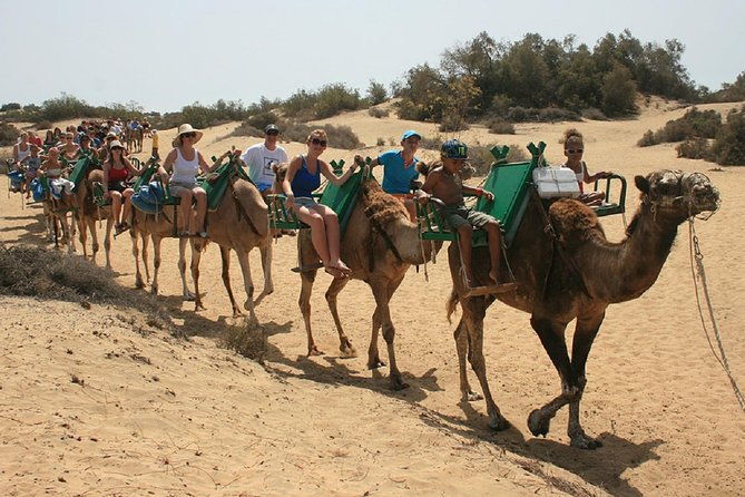 e-scooter-tour-optional-camel-ride-maspalomas-dunes-meloneras