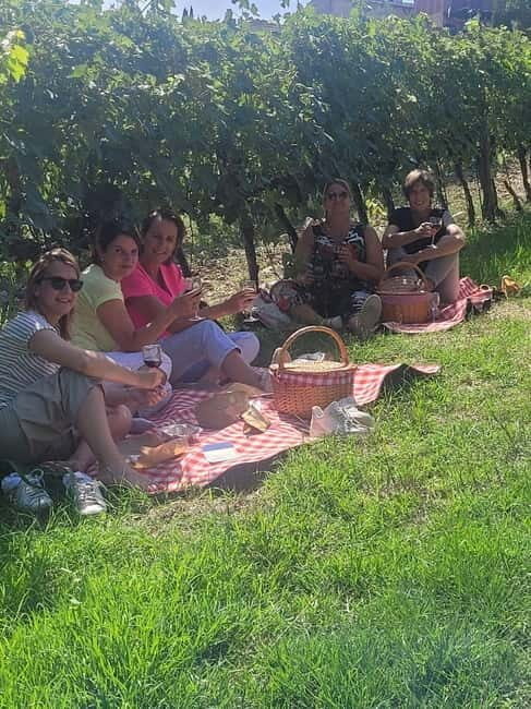 E-Vespa Tour in the Chianti and Pic Nic Lunch - Key Points  