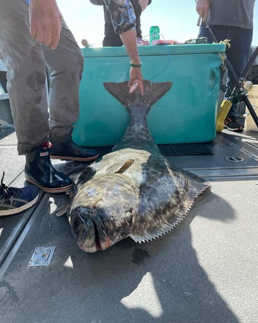 ear-mountain-charters-tours-whale-watching-and-fishing
