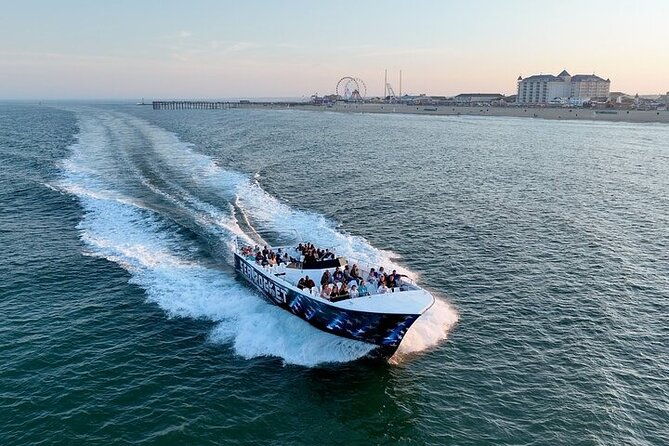 early-bird-speed-boat-dolphin-cruise-in-ocean-city-md-2