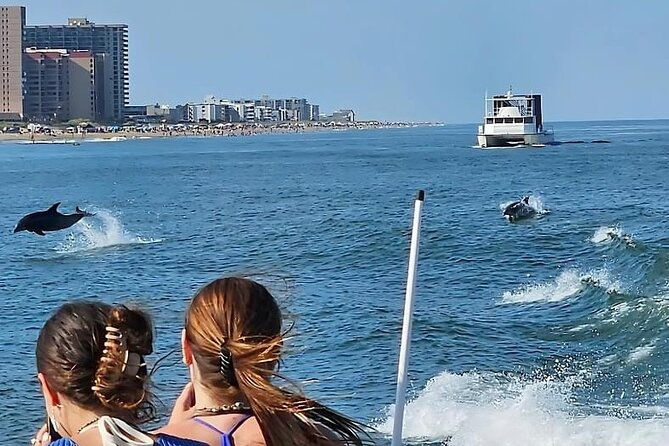early-bird-speed-boat-dolphin-cruise-in-ocean-city-md-2