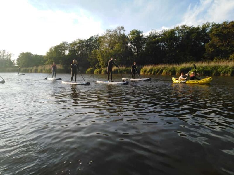 Early Bird Standup Paddletour to Fishing Harbours - What You Can Expect from the Tour