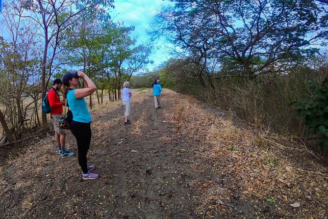early-bird-watching-tour-guanacaste