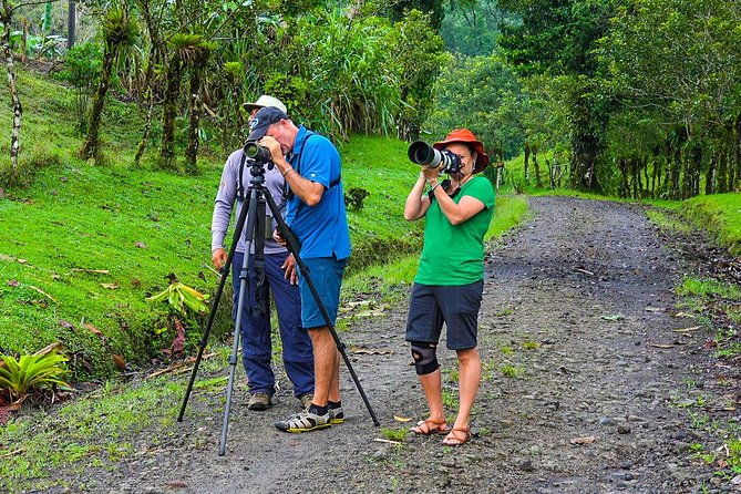 early-bird-watching-tour-guanacaste