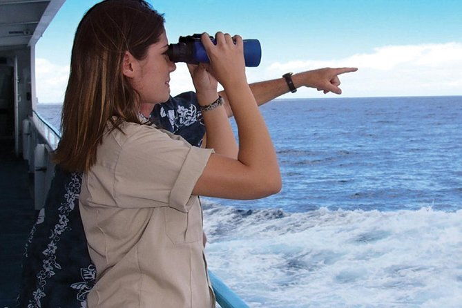 early-bird-whale-watching-cruise-from-waikiki