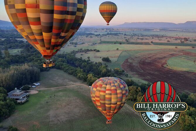 Early Morning Balloon Safari with Breakfast from Magaliesburg - The Sum Up