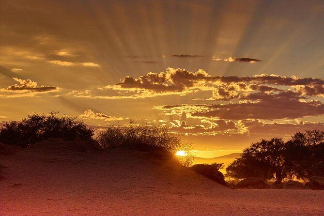 Early Morning Desert Safari With Camel Trekking Experience - Introduction