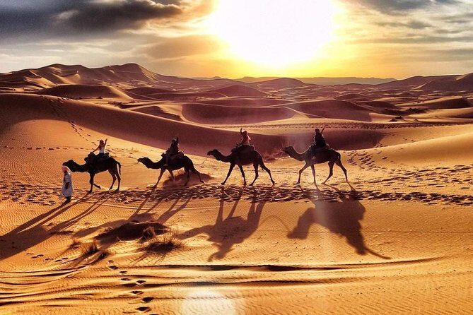 Early Morning Desert Safari With Camel Trekking Experience - FAQs