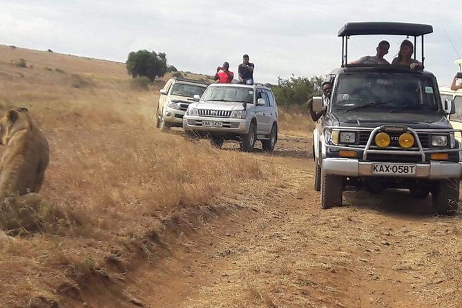 Early Morning Group Joining Mini Safari To Nairobi National Park - Practical Tips for Travelers