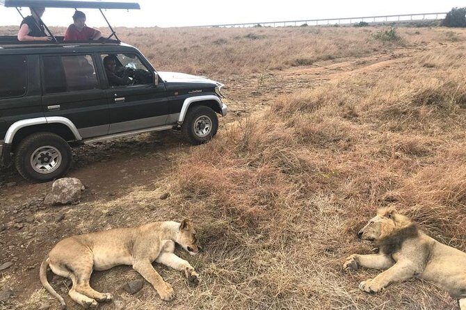 Early Morning Group Joining Mini Safari To Nairobi National Park - Who Is This Tour Best For?