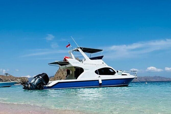 Early Morning Small-Group Komodo Speedboat Tour - Early Morning Small-Group Komodo Speedboat Tour: A Complete Guide