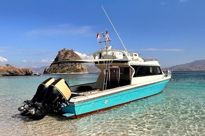 Early Morning Small-Group Komodo Speedboat Tour - What Makes This Tour a Great Choice?