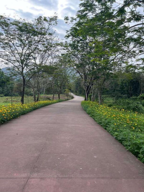 early-my-son-tour-transfer-to-avoid-crowd-and-the-heat