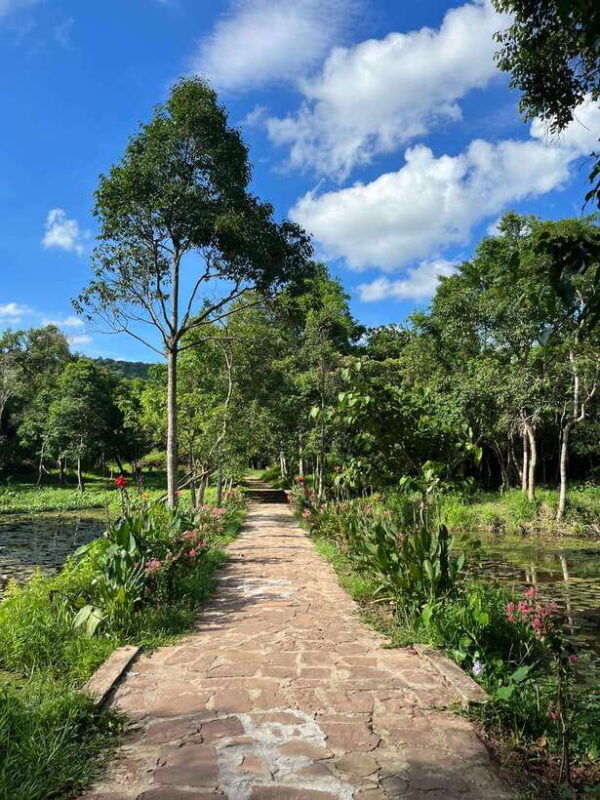 early-my-son-tour-transfer-to-avoid-crowd-and-the-heat