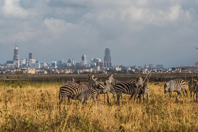 Early Nairobi Park Giraffe Centre and Optional Elephant Orphanage - Exploring the Tour: A Detailed Breakdown