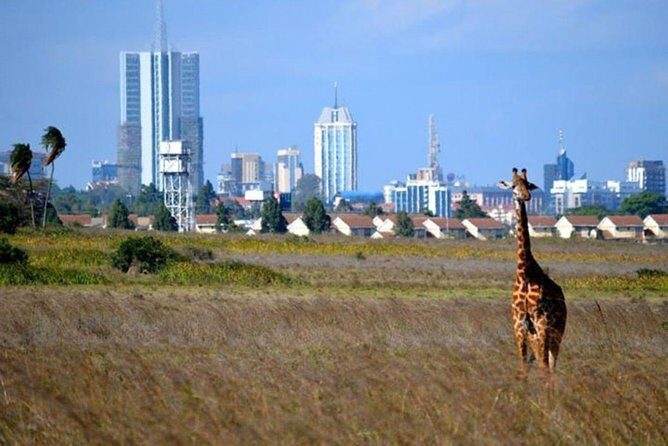 Early Nairobi Park Giraffe Centre and Optional Elephant Orphanage - Final Thoughts: Is This Tour Right for You?