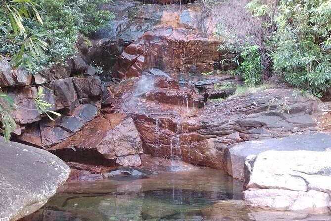 Early Season Waterfall Kakadu Full Day Tour - The Experience: A Deep Dive Into the Day