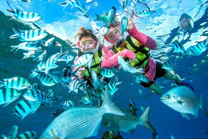 easily-set-sail-by-boat-blue-cave-snorkel
