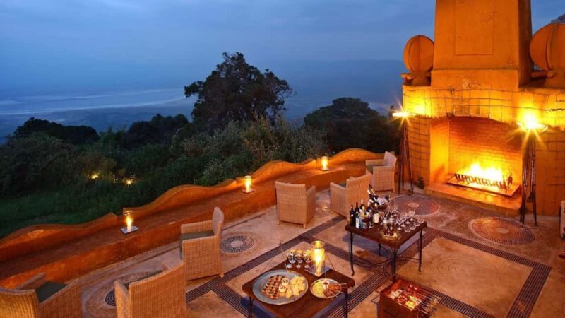 East Africa: Gorilla Trekking, Safaris, and Honeymoon - What Makes This Tour Stand Out?