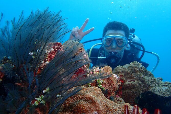 East Bali Authentic Sidemen Rice Fields Walk and Snorkeling - Authenticity and Unique Insights from Reviews