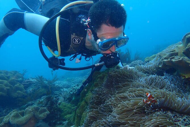 East Bali Authentic Sidemen Rice Fields Walk and Snorkeling - The Sum Up