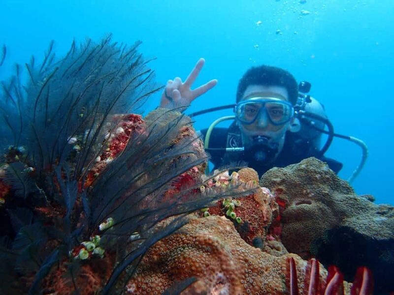 East Bali: Authentic Sidemen Rice Fields Walk & Snorkeling - Frequently Asked Questions