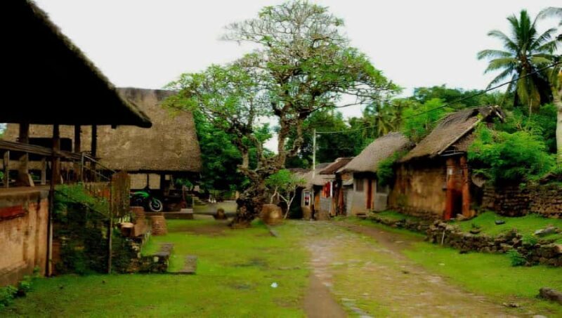 East Bali: Gate of Heaven & Cultural Tour - Authentic Insights from Reviews