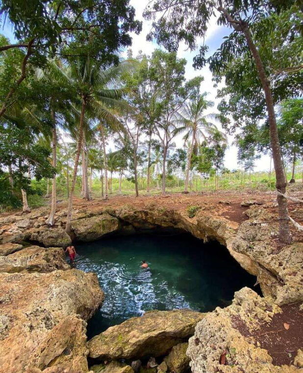 east-bohol-anda-rice-terraces-waterfalls-lamanok-island