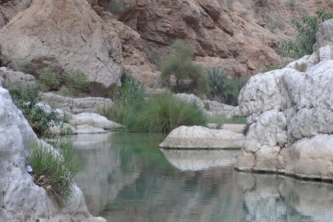 East Coast and Wadi Shab tour - FAQ