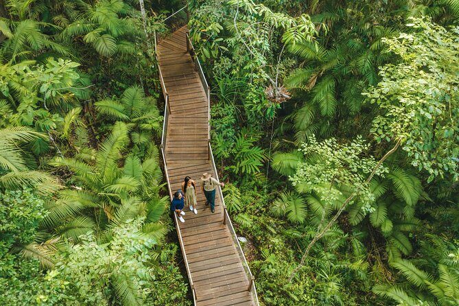 East Coast Australia 16 Day Comfort Tour from Sydney to Daintree - An In-Depth Look at the Itinerary