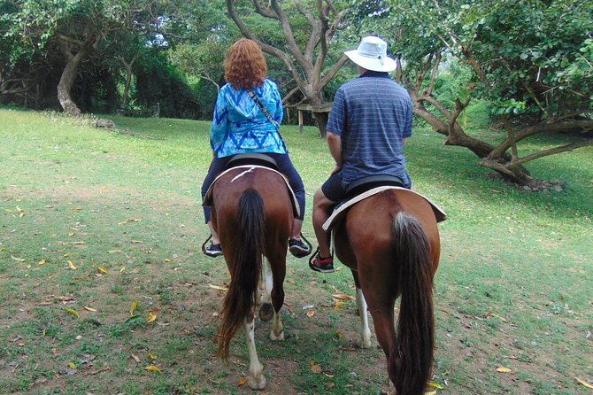 east-coast-horseback-riding-waterfall-excursion